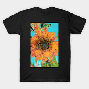 Sunflower - Burnt Orange T-Shirt